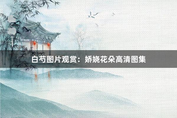 白芍图片观赏：娇娆花朵高清图集